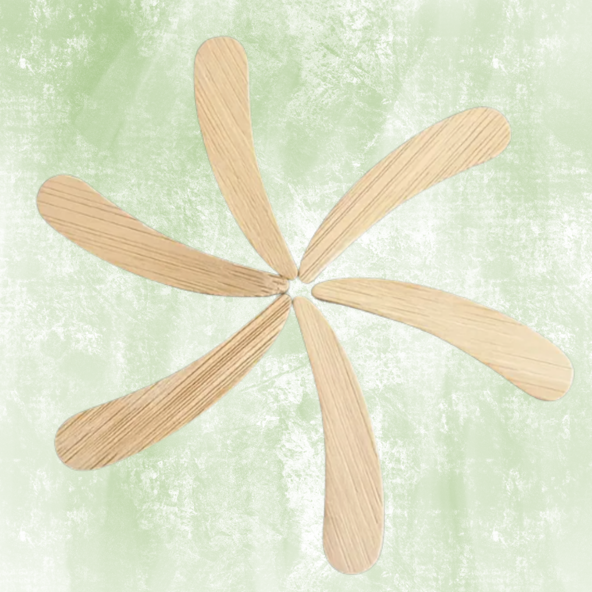 Épique Wooden Cosmetic Spoon