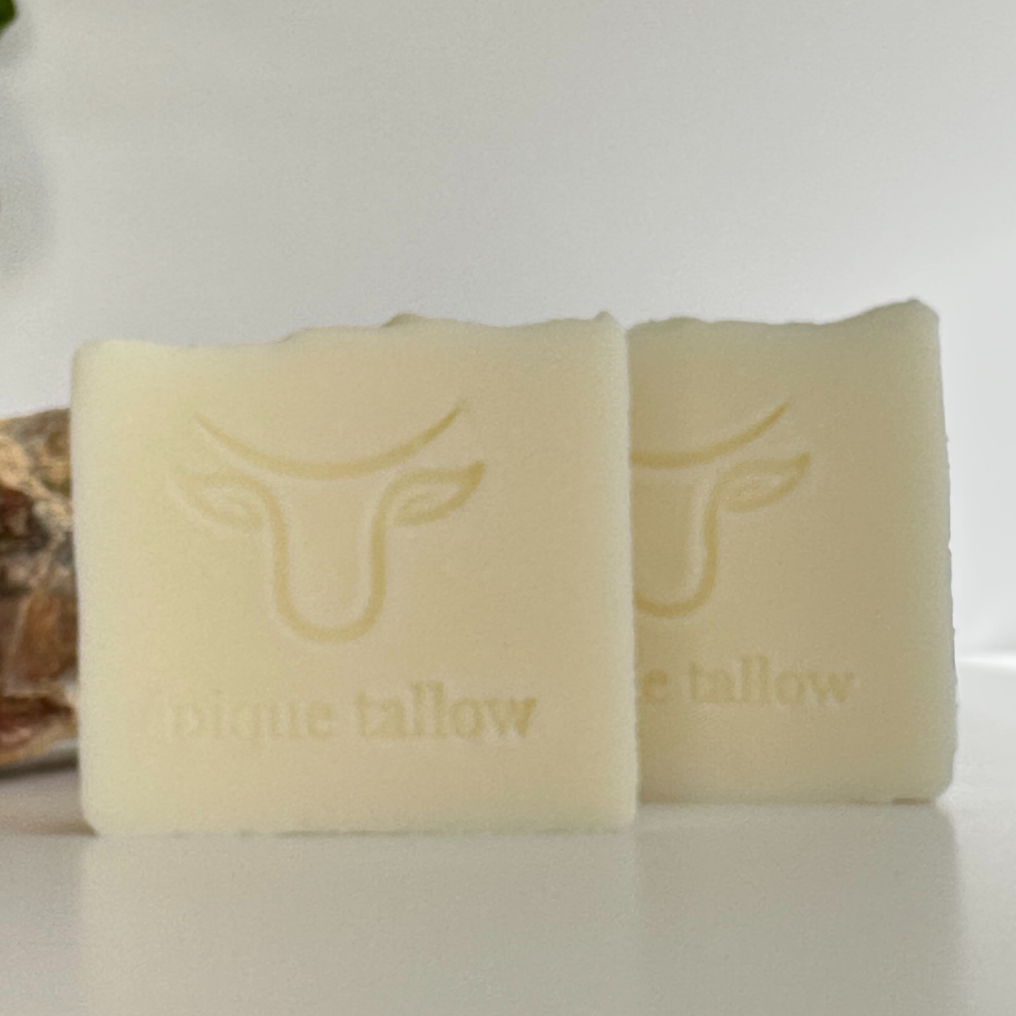Coming Soon! Save Your Spot - The épique tallow bar
